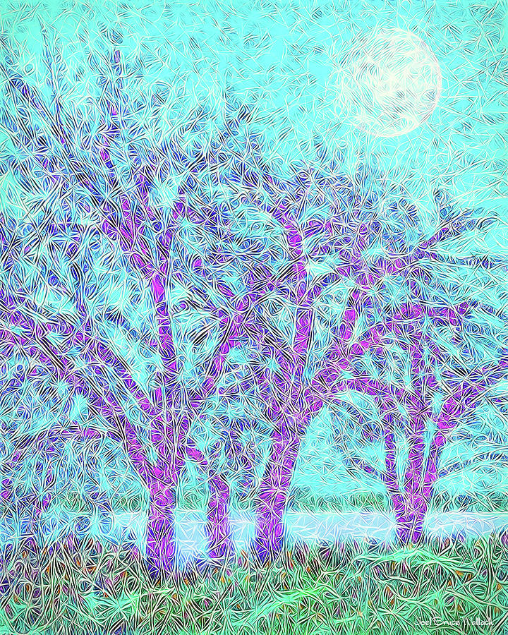 Winter Trees In Moonlight Blue - Boulder County Colorado Digital Art by Joel Bruce Wallach