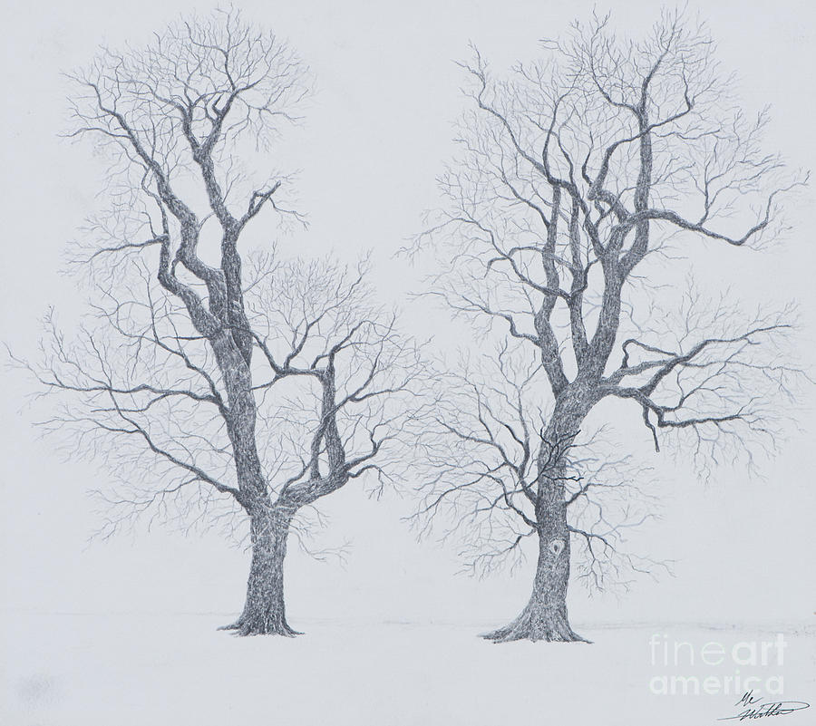 Winter Trees Drawing by Me Worthen Pixels