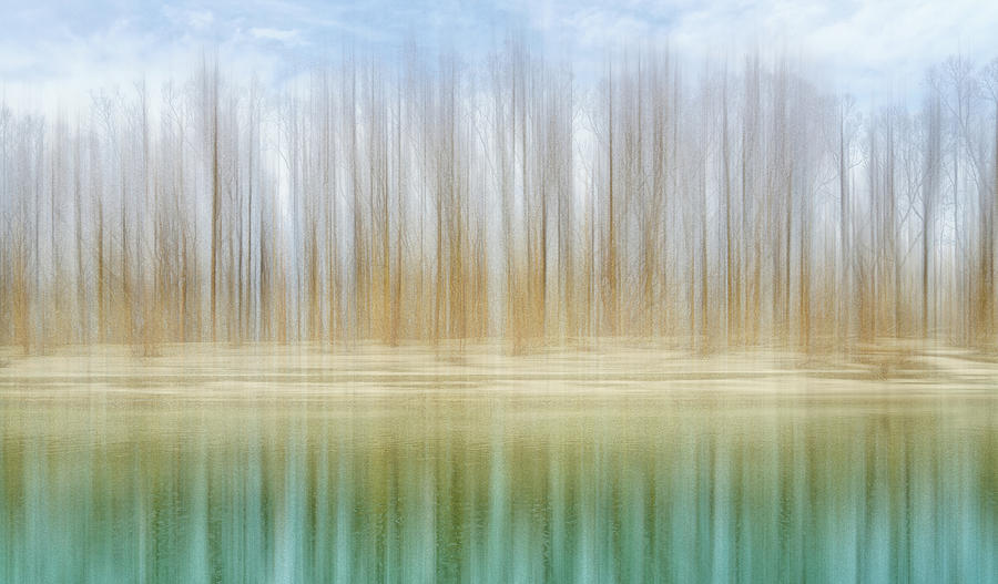 Winter trees on a river bank reflecting into water Photograph by Robert FERD Frank