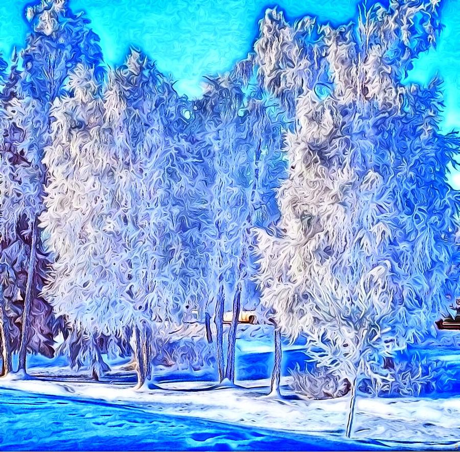 Winter Trees Digital Art by Ron Bissett
