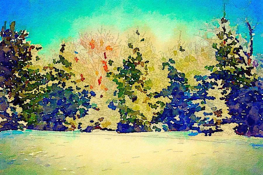 Winter Photograph - Winter Trees Watercolor Rectangle by Jennifer Richter