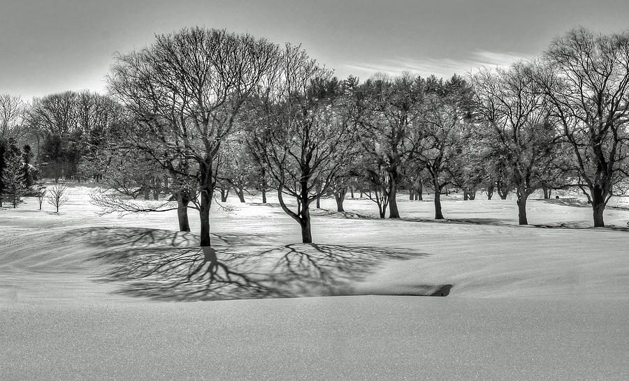 Winter Trees by Wayne Marshall Chase Winter Trees by Wayne Marshall Chase