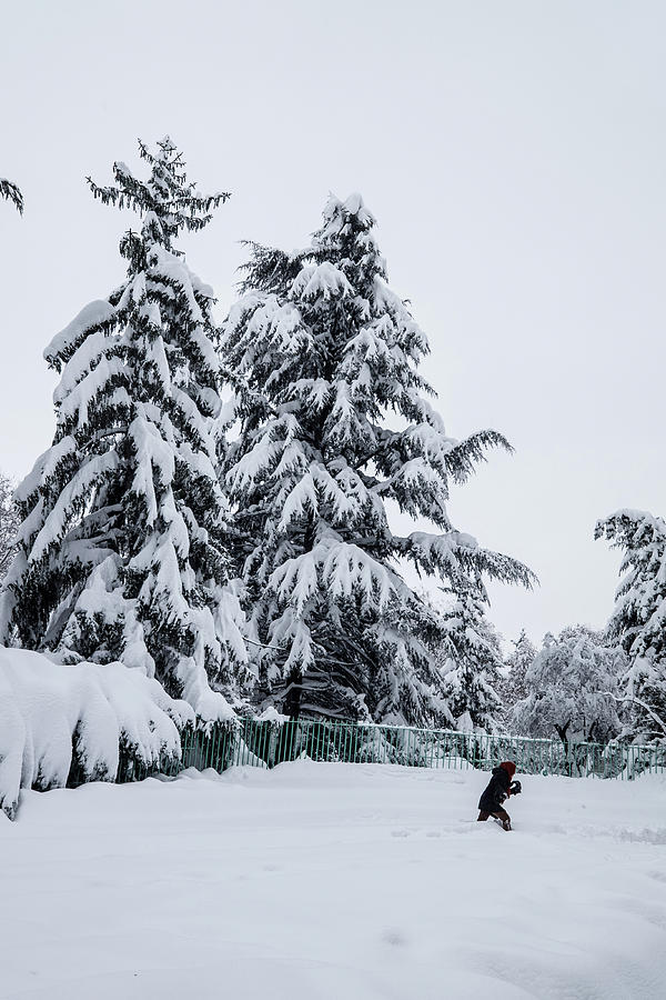 Winter Photograph - Winter Trekking-2 by Okan YILMAZ
