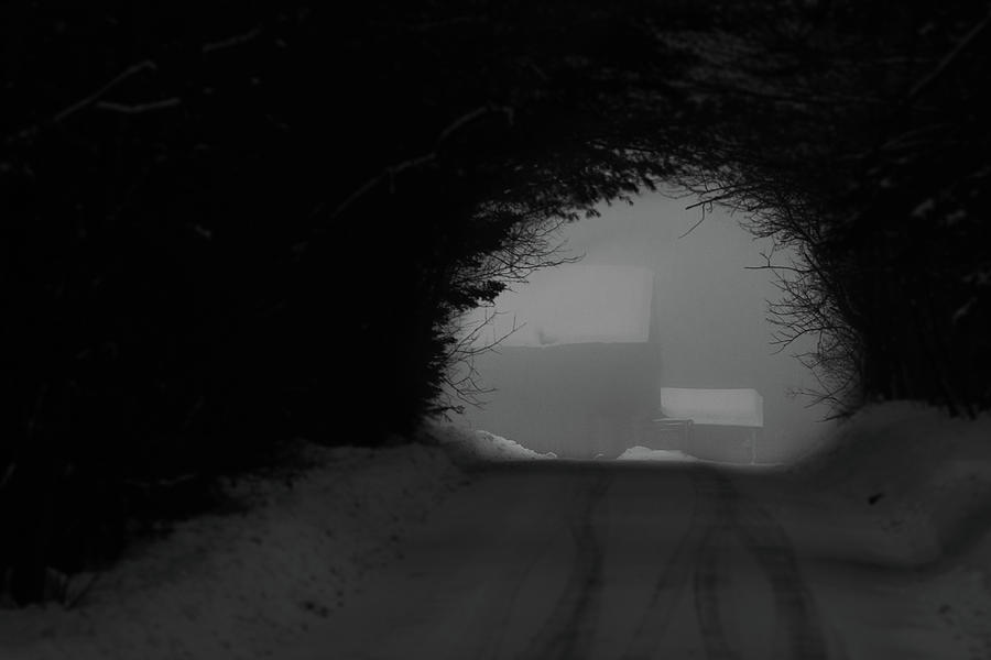 Winter Tunnel Photograph by Tim Kirchoff