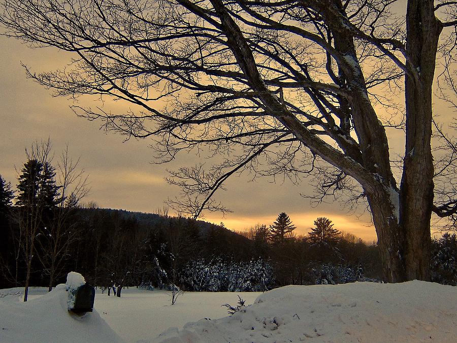 Winter Twilight 2 Photograph by Elizabeth Tillar
