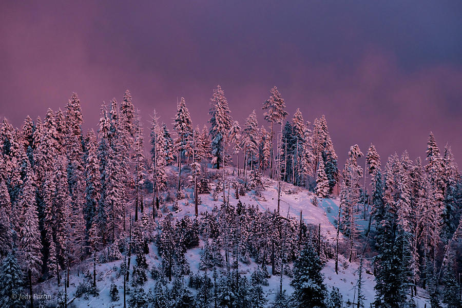 Winter Twilight Photograph by Jody Partin