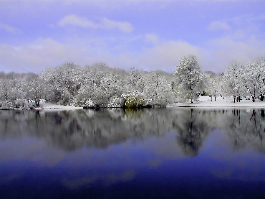 Winter Photograph - Winter View by Karol Livote
