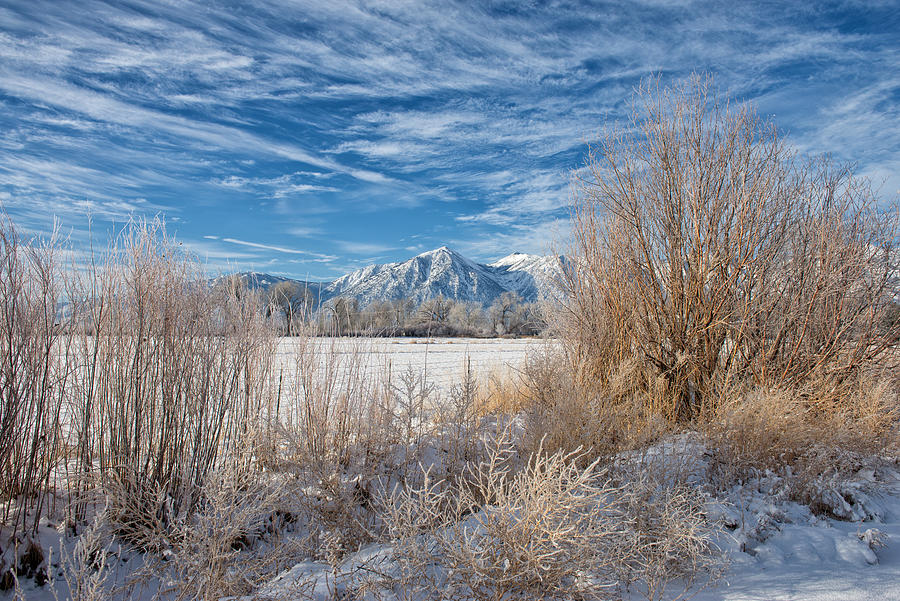 Winter View of Jobes Peak - Gardnerville - Nevada Photograph by Bruce Friedman