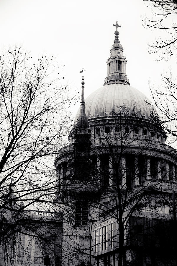 Winter View of St Pauls Photograph by Christopher Maxum