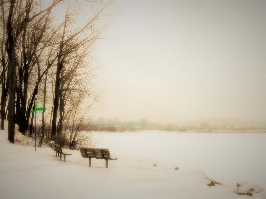 Winter View over Montreal Photograph by Cristina Stefan
