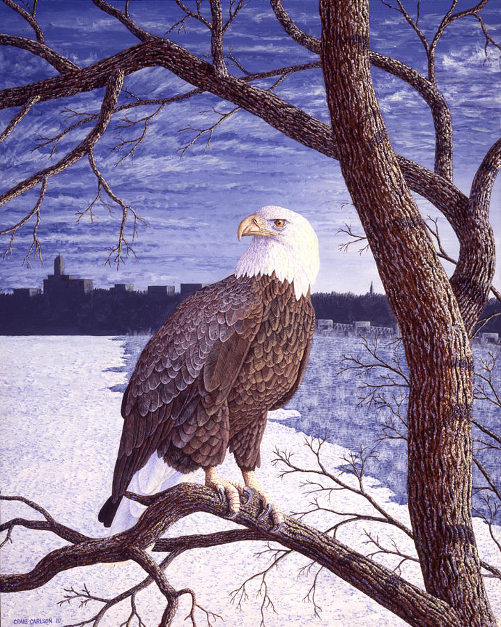 Winter Visitor - Bald Eagle Painting by Craig Carlson