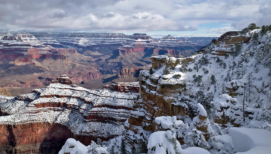 Winter Vista - Grand Canyon Photograph by Paul Riedinger