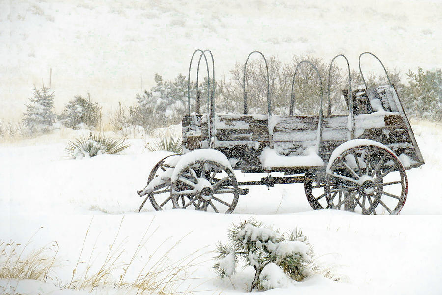 Winter Wagon Photograph by Dawn Key