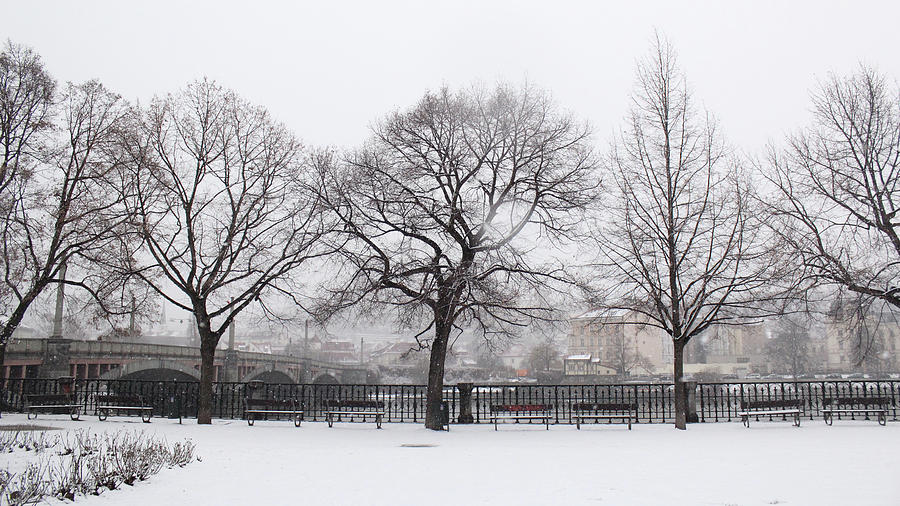 Winter walk along the riverbank by Radka Zimova King Winter walk along the riverbank by Radka Zimova King