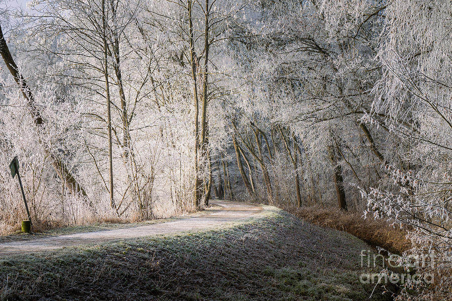 Winter Photograph - Winter walk in Bavaria by Juergen Klust