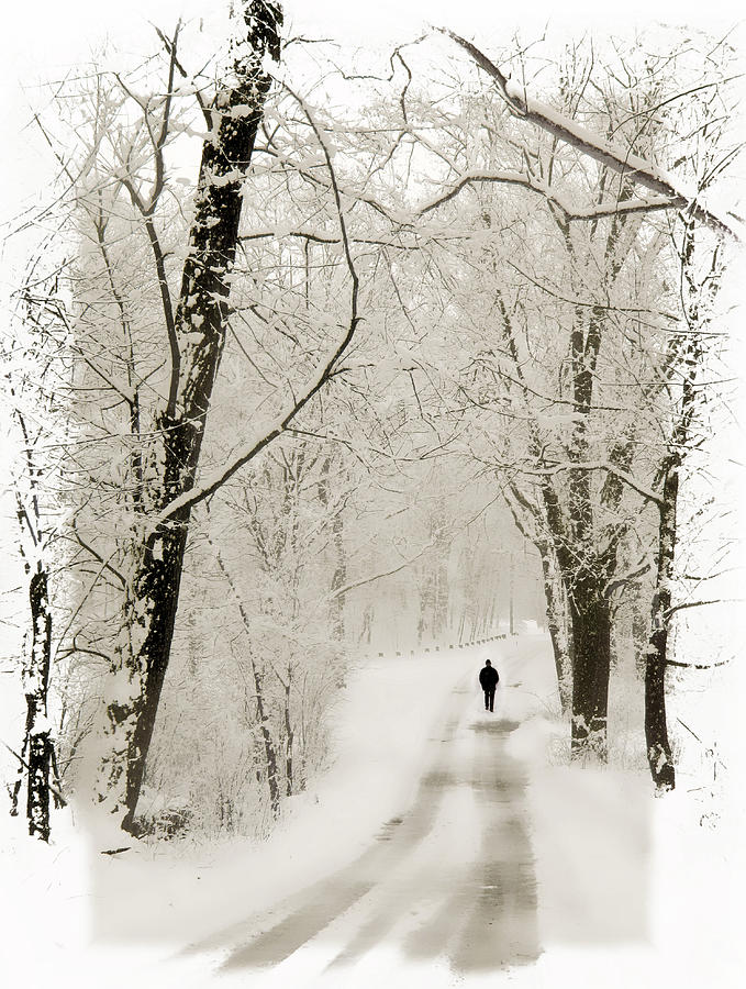 Winter Walk Photograph by Jessica Jenney