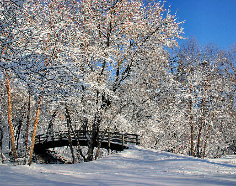 Winter Walk Photograph by Kristin Elmquist