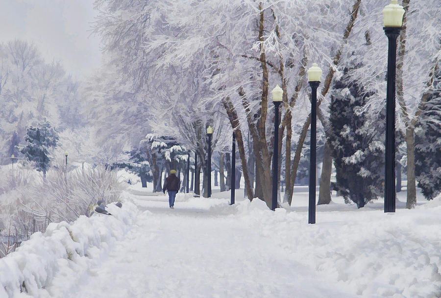 Winter Photograph - Winter walk by Lee Fortier