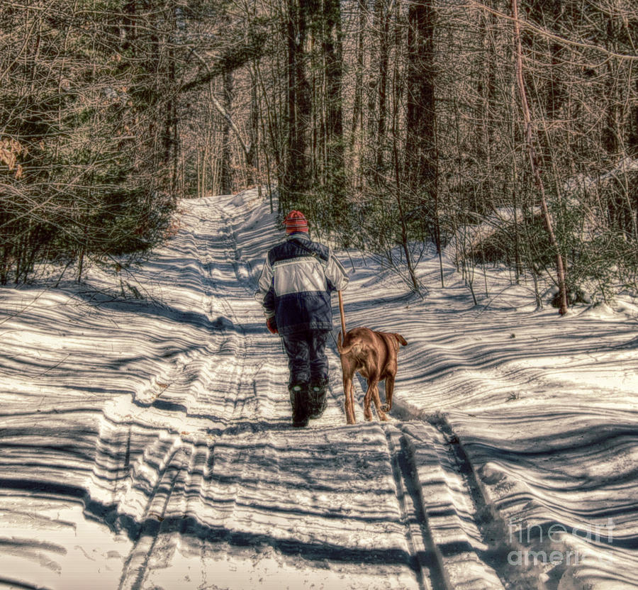 Winter Walk Photograph by Mim White