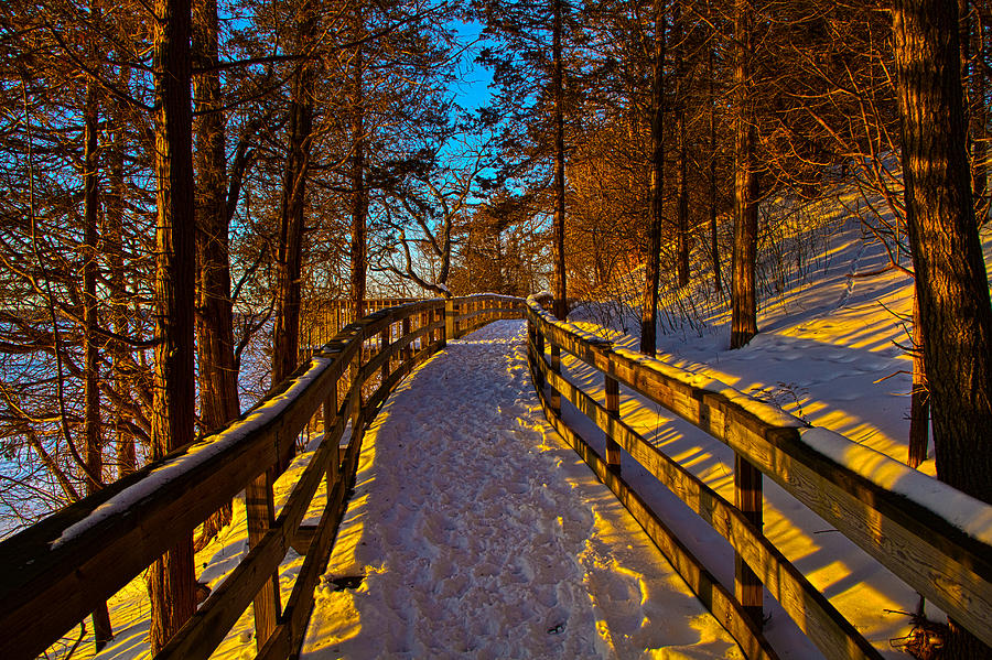 Winter Walk Photograph by Phil Koch
