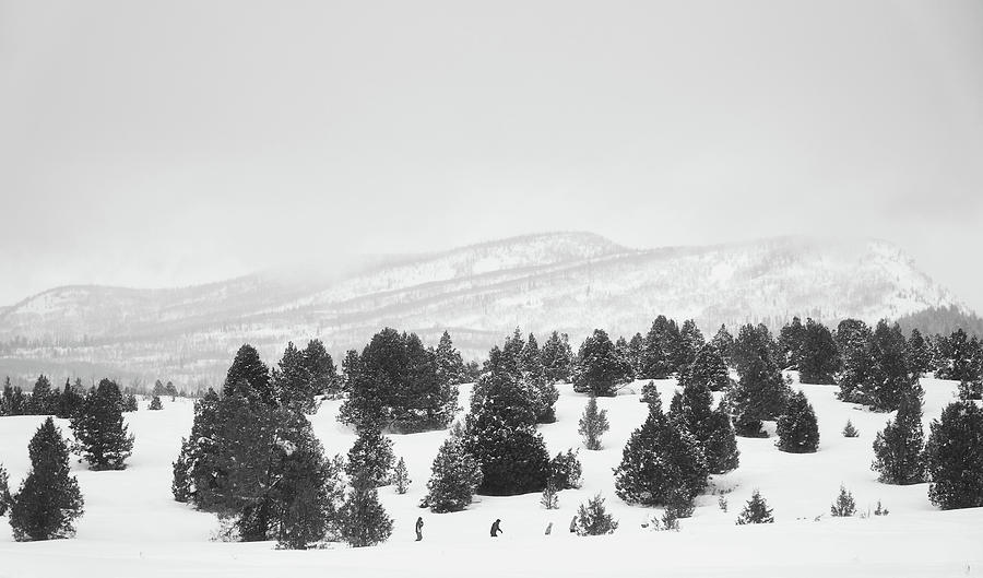 Winter Walk #1 Photograph by Mountain Dreams
