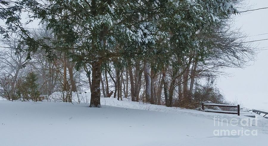 Winter Wallops Walpole, Jan. 2018 Photograph by Marcus Dagan