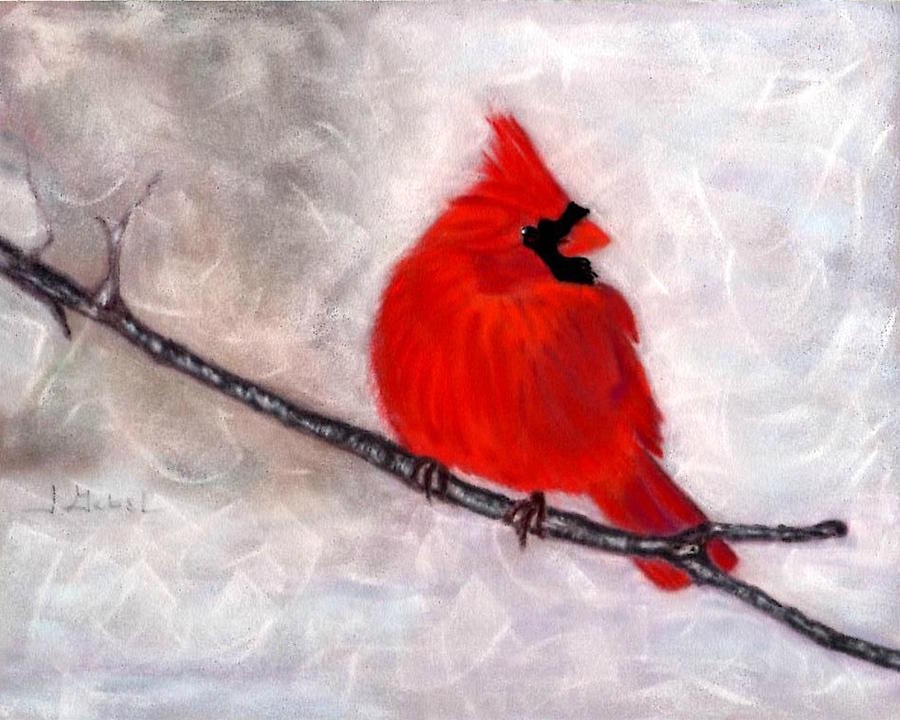 Animal Pastel - Winter Watch by Laura Gabel Animal Pastel - Winter Watch by Laura Gabel