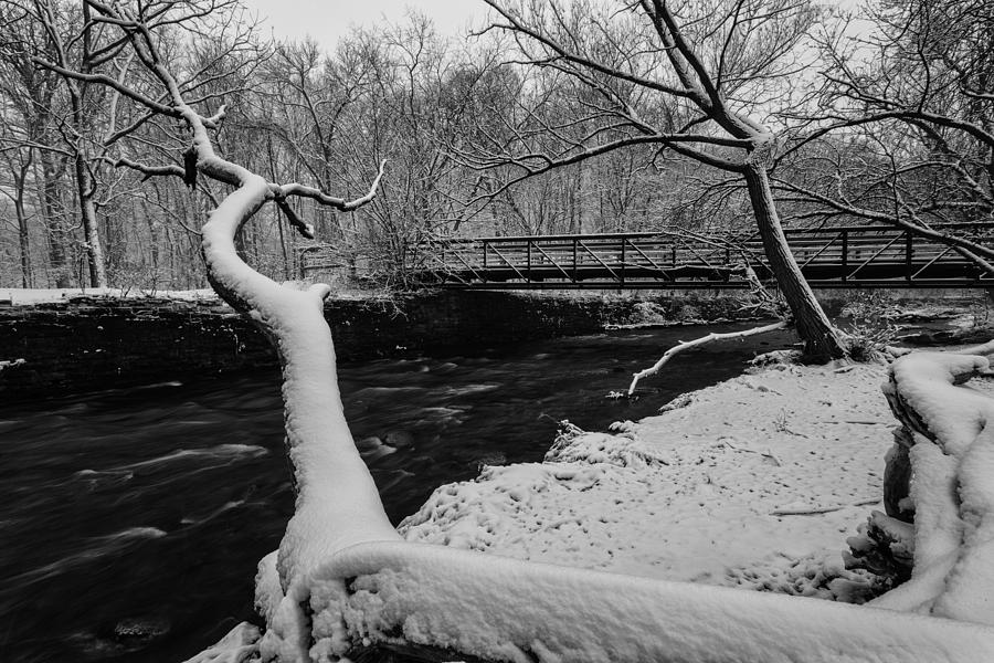 Winter Water Photograph by CJ Schmit