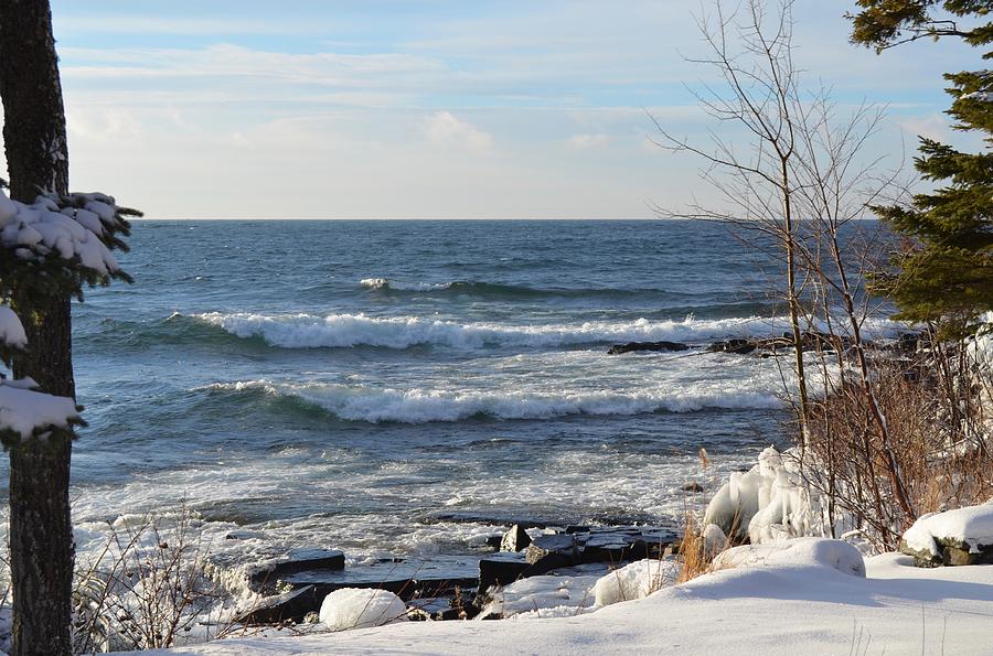 Winter Waves Photograph by Hella Buchheim