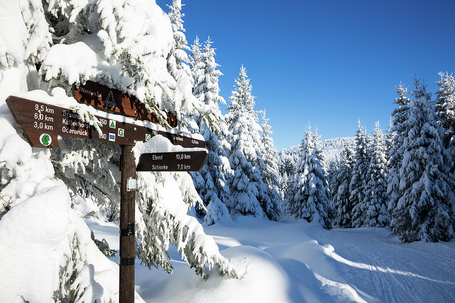 winter way in the Upper Harz Photograph