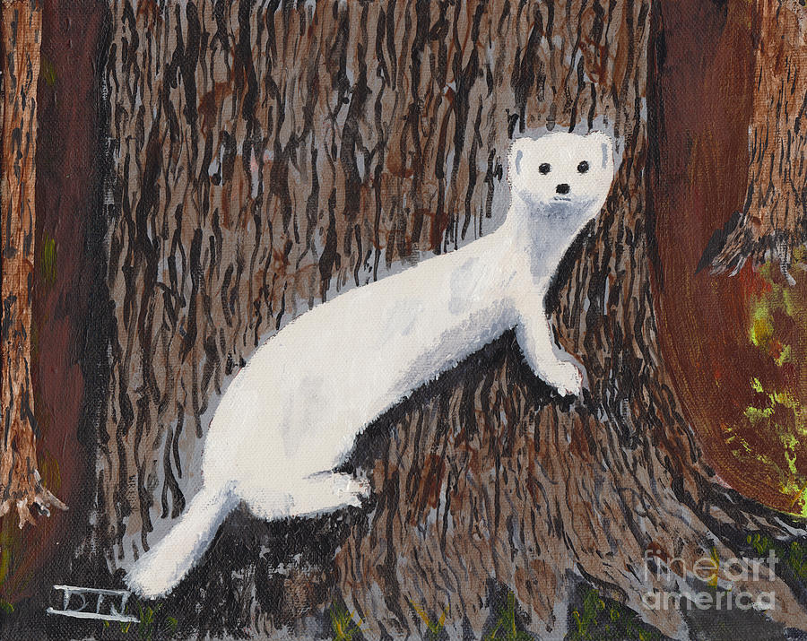 Winter Weasel Painting by David Jackson