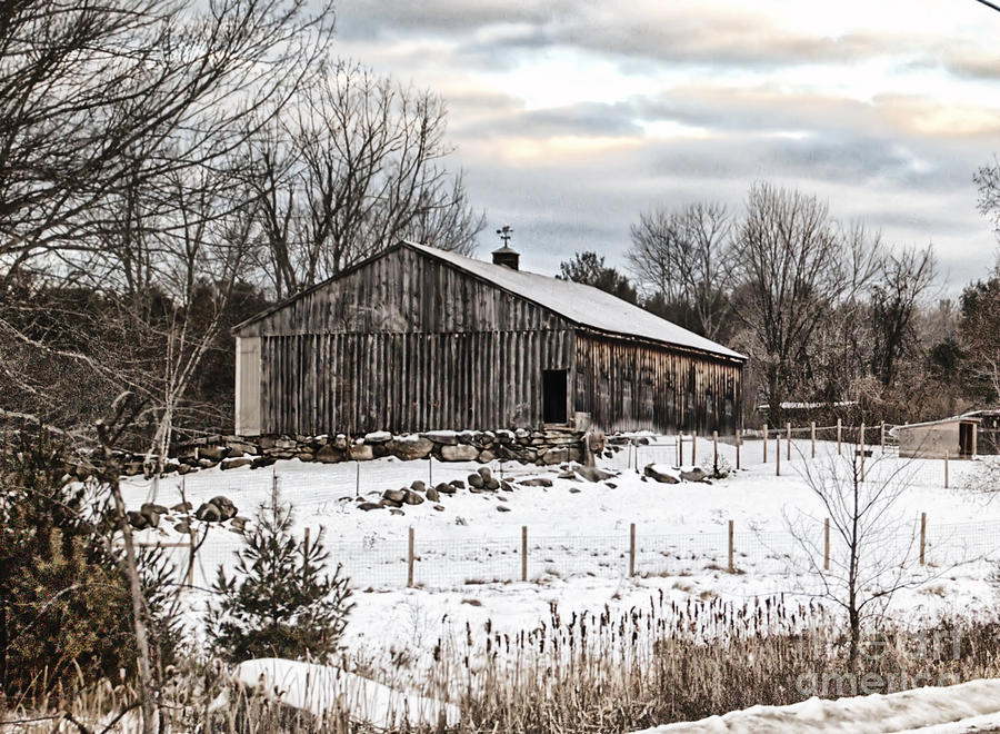 Winter Photograph - Winter Weathered by Catherine Melvin