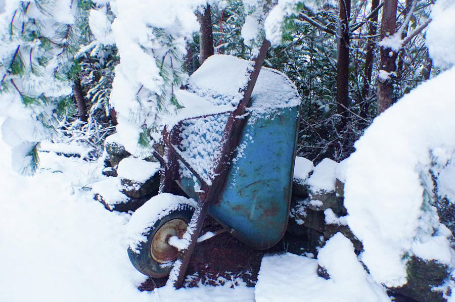 Winter Wheelbarrow Photograph by Adria Trail