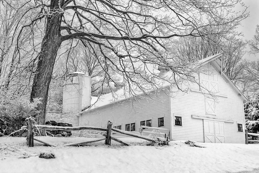 Winter White  bw Photograph by Bill Wakeley