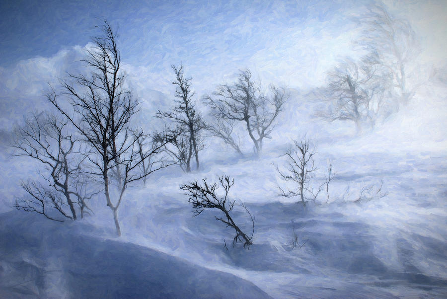 Winter Digital Art - Winter wind 2.0 by Giuseppe Cesa Bianchi