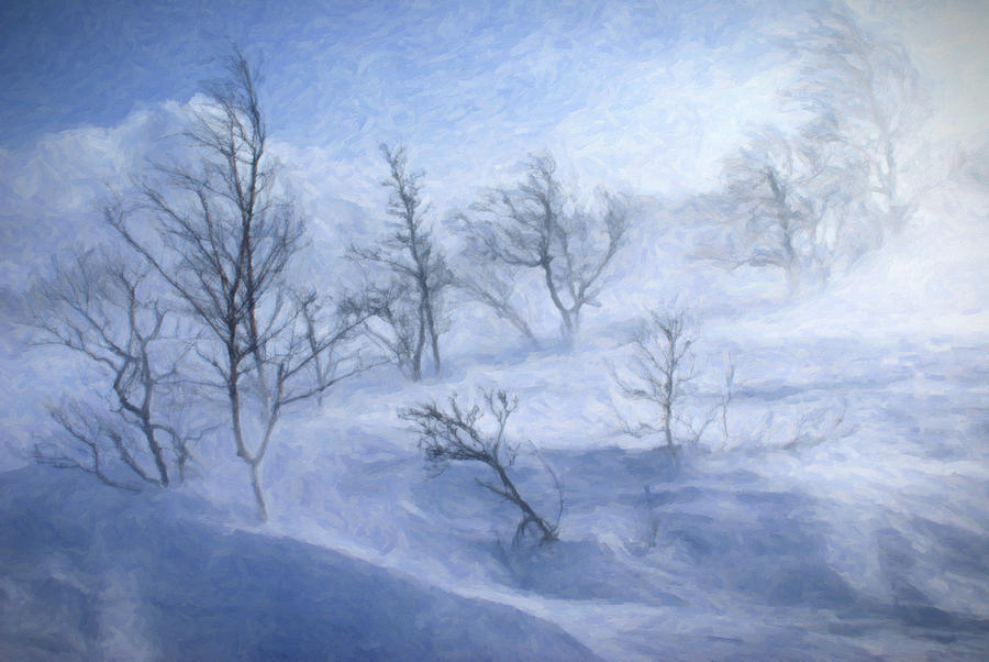 Winter wind Digital Art by Giuseppe Cesa Bianchi