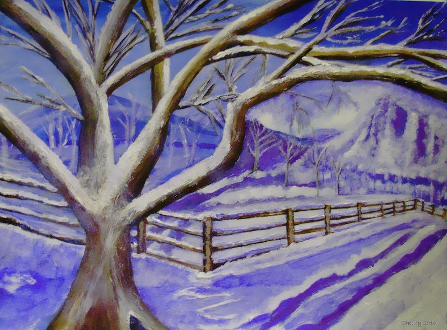 Winter Wonder Painting by Shelley Bain