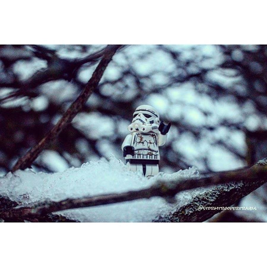 Tree Photograph - Winter Wonderland # by Stormtrooper Travels
