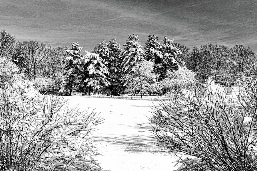 Winter Wonderland 19 Photograph by Allen Beatty
