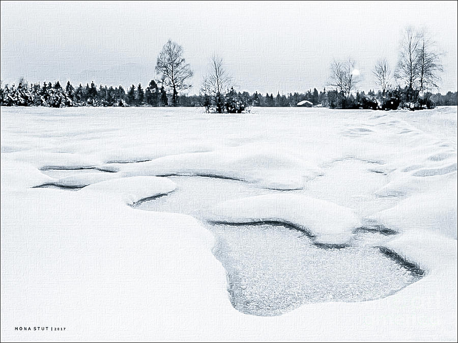 Nature Photograph - Winter Wonderland BW by Mona Stut