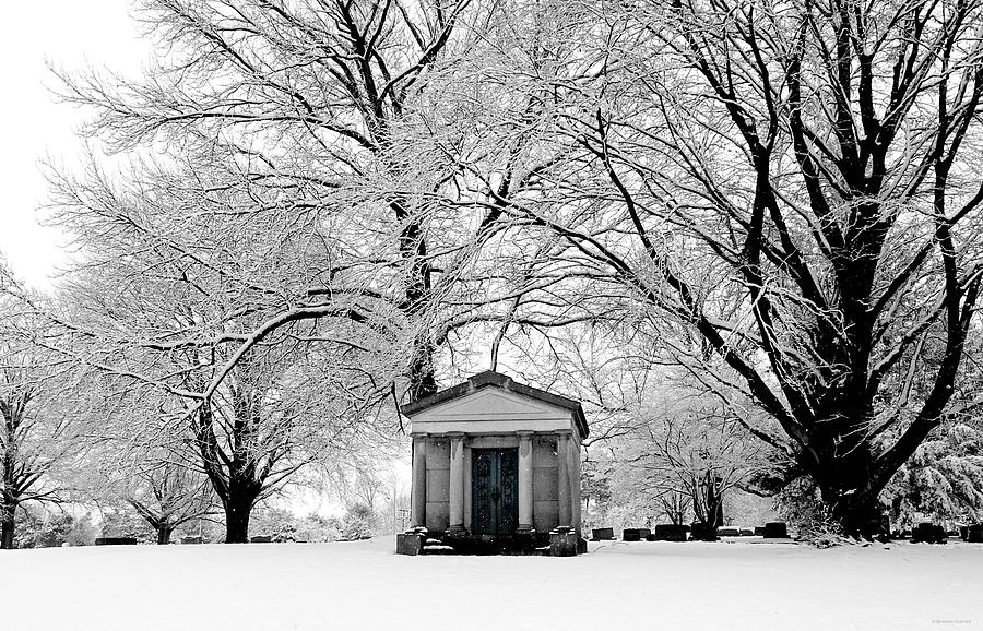 Winter Photograph - Winter Wonderland by Dark Whimsy