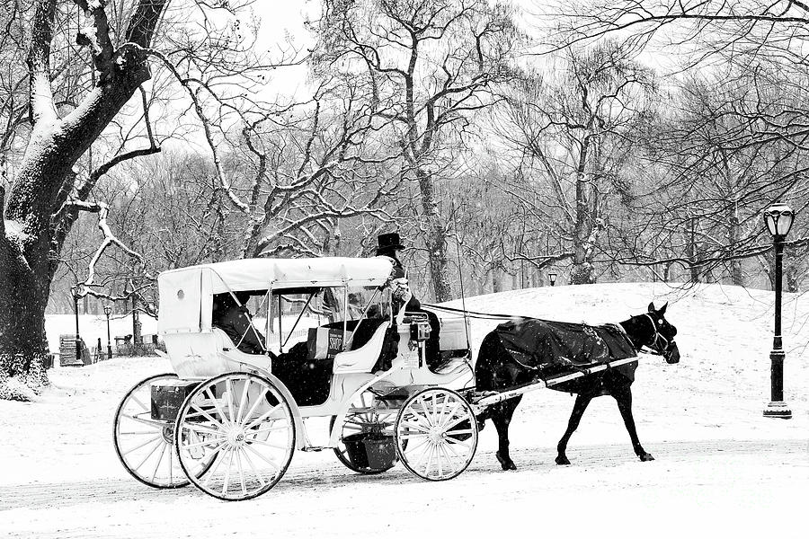 Winter Wonderland Central Park Photograph by Regina Geoghan - Fine Art ...