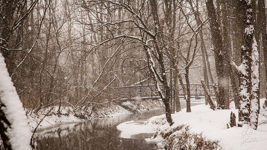 Winter Wonderland Photograph by Chita Hunter