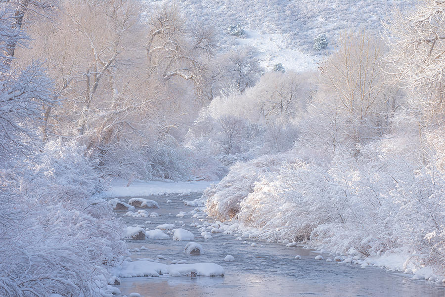 Winter Photograph - Winter Wonderland - Colorado by Darren White