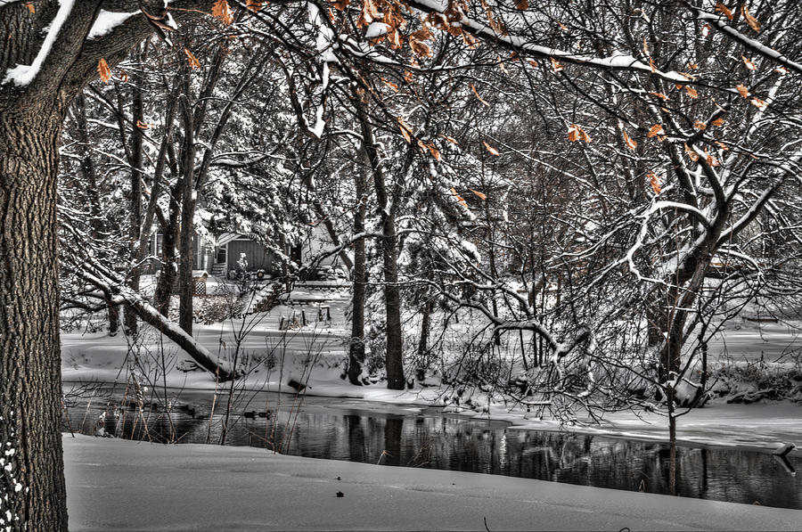 Winter Wonderland Photograph by Deborah Klubertanz
