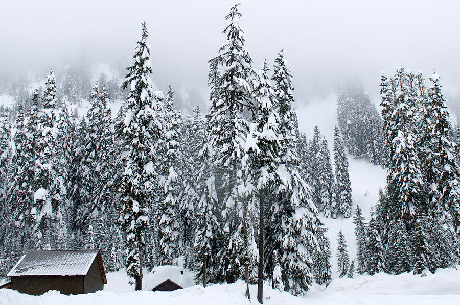Winter Wonderland at Alpental Photograph by Emerita Wheeling