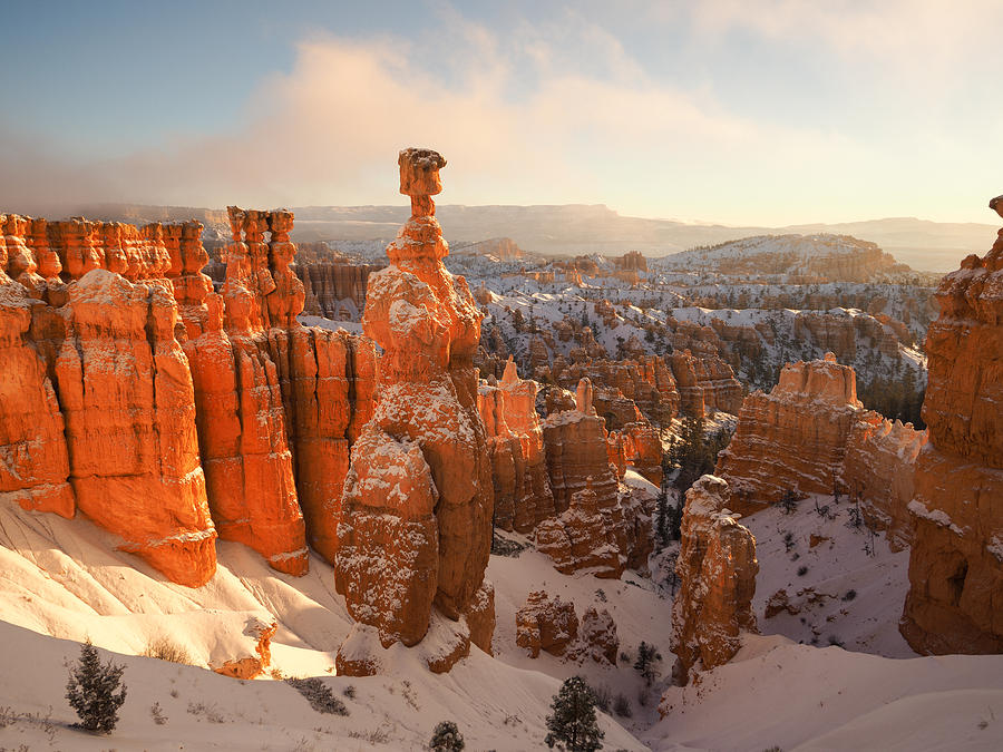 Bryce Canyon National Park Photograph - Winter Wonderland by Emily Dickey
