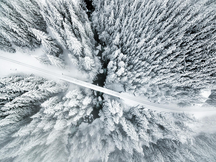 Winter Wonderland Photograph by Evgeny Vasenev