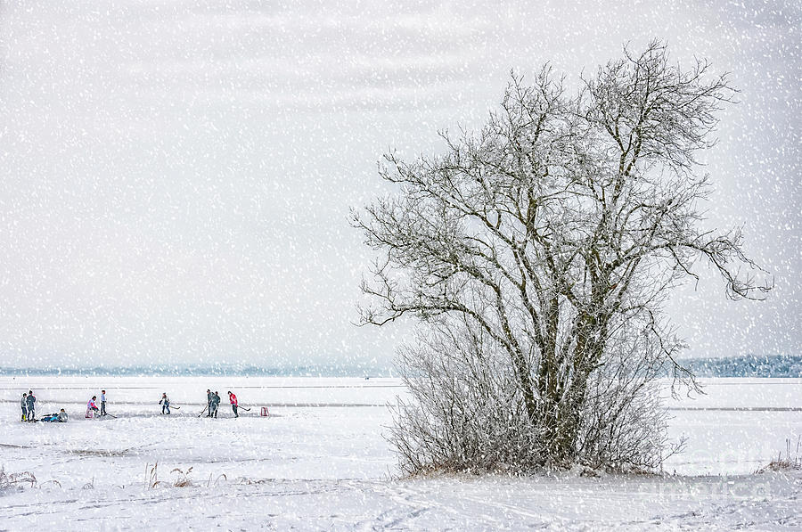 Winter Wonderland Frozen Lake Photograph by Antony McAulay
