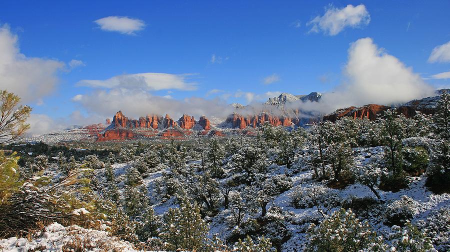 Winter Wonderland Photograph by Gary Kaylor